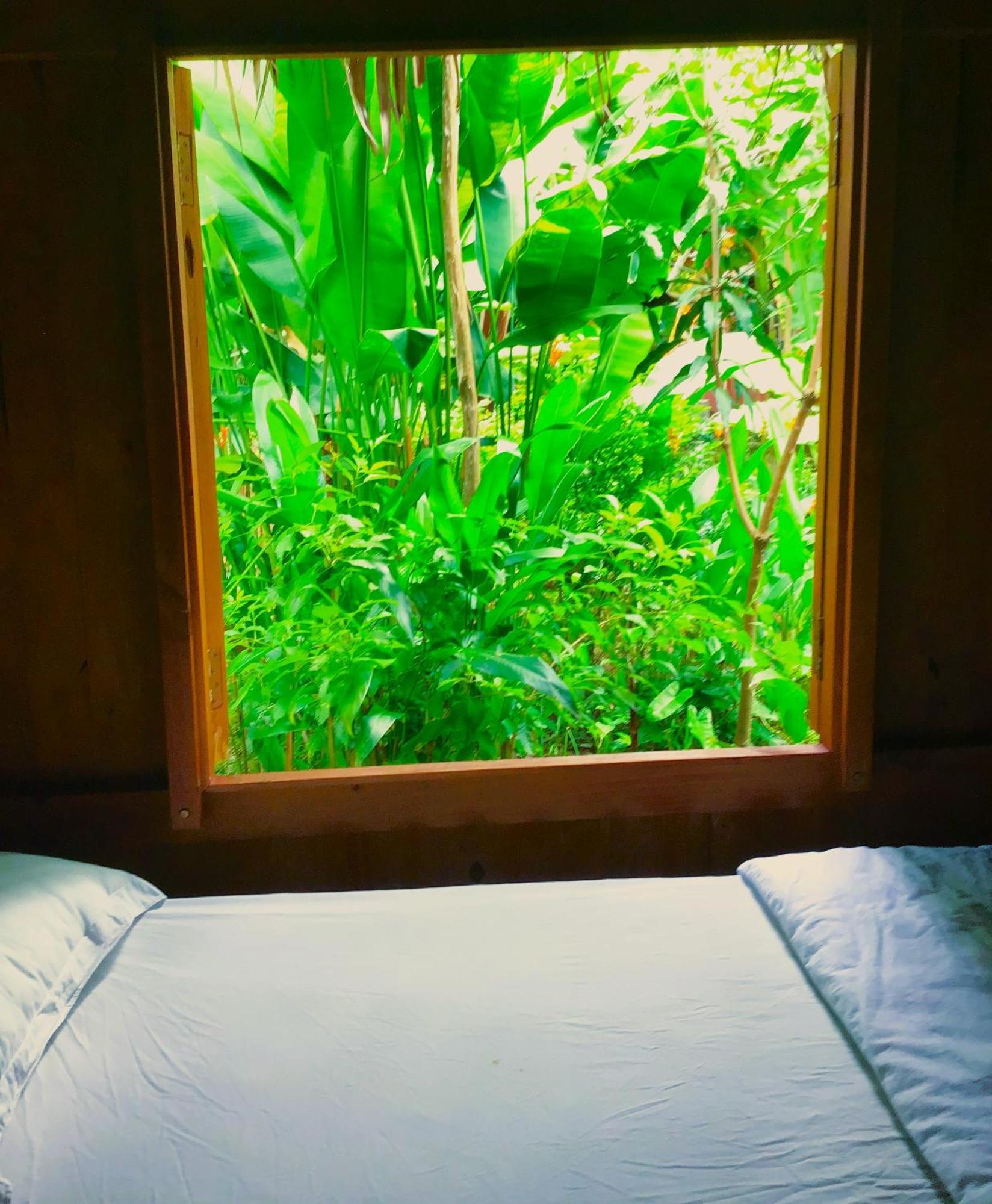 Ben Tre Farm Stay מראה חיצוני תמונה
