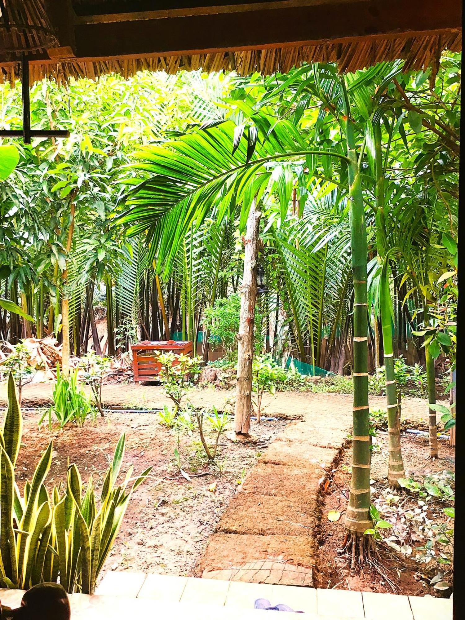 Ben Tre Farm Stay מראה חיצוני תמונה