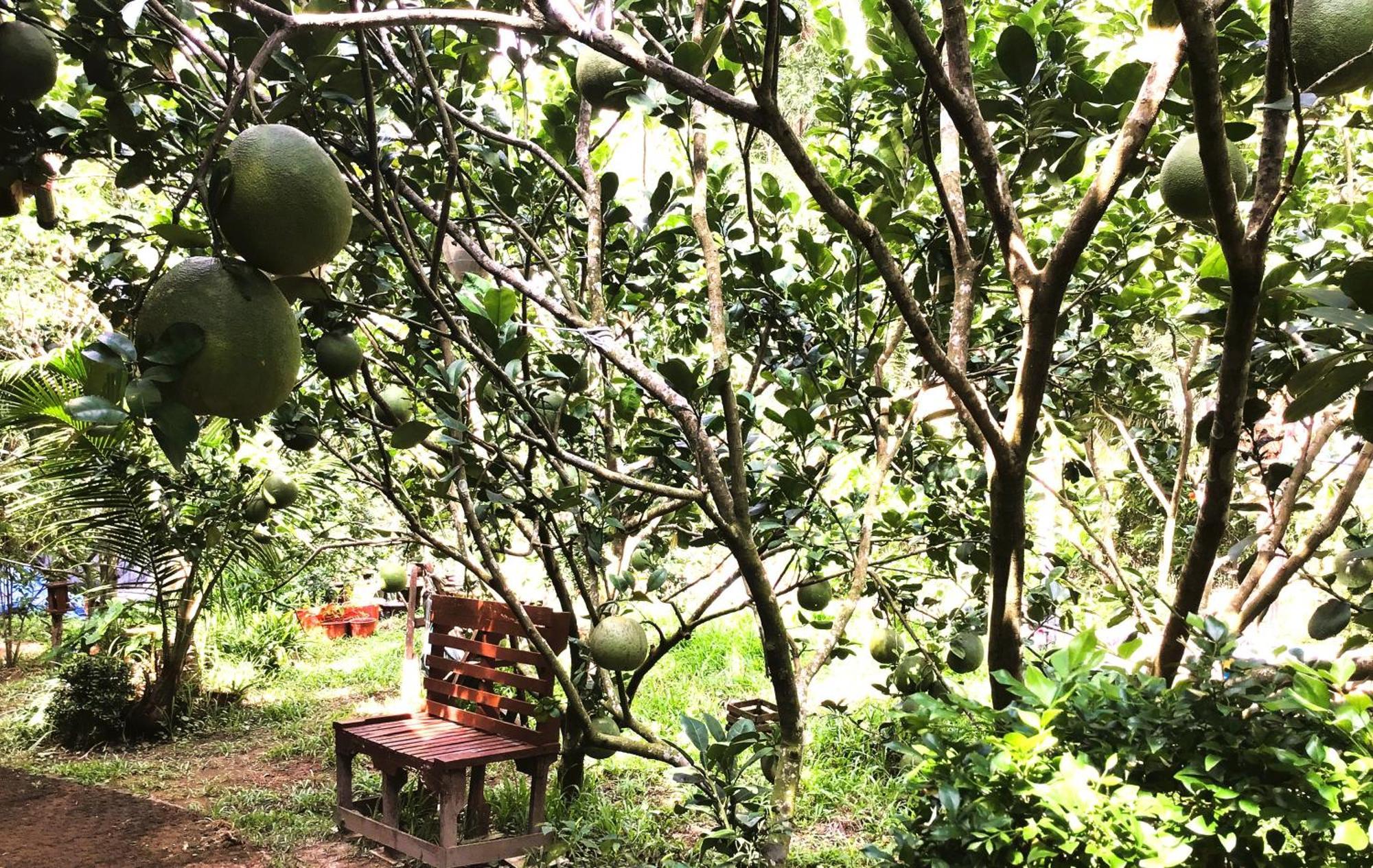 Ben Tre Farm Stay מראה חיצוני תמונה