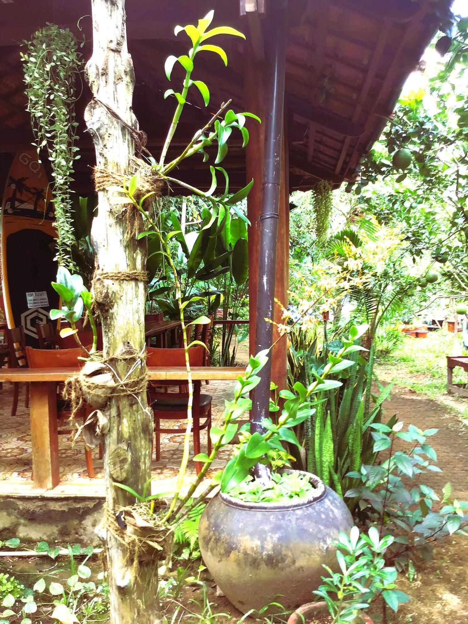 Ben Tre Farm Stay מראה חיצוני תמונה