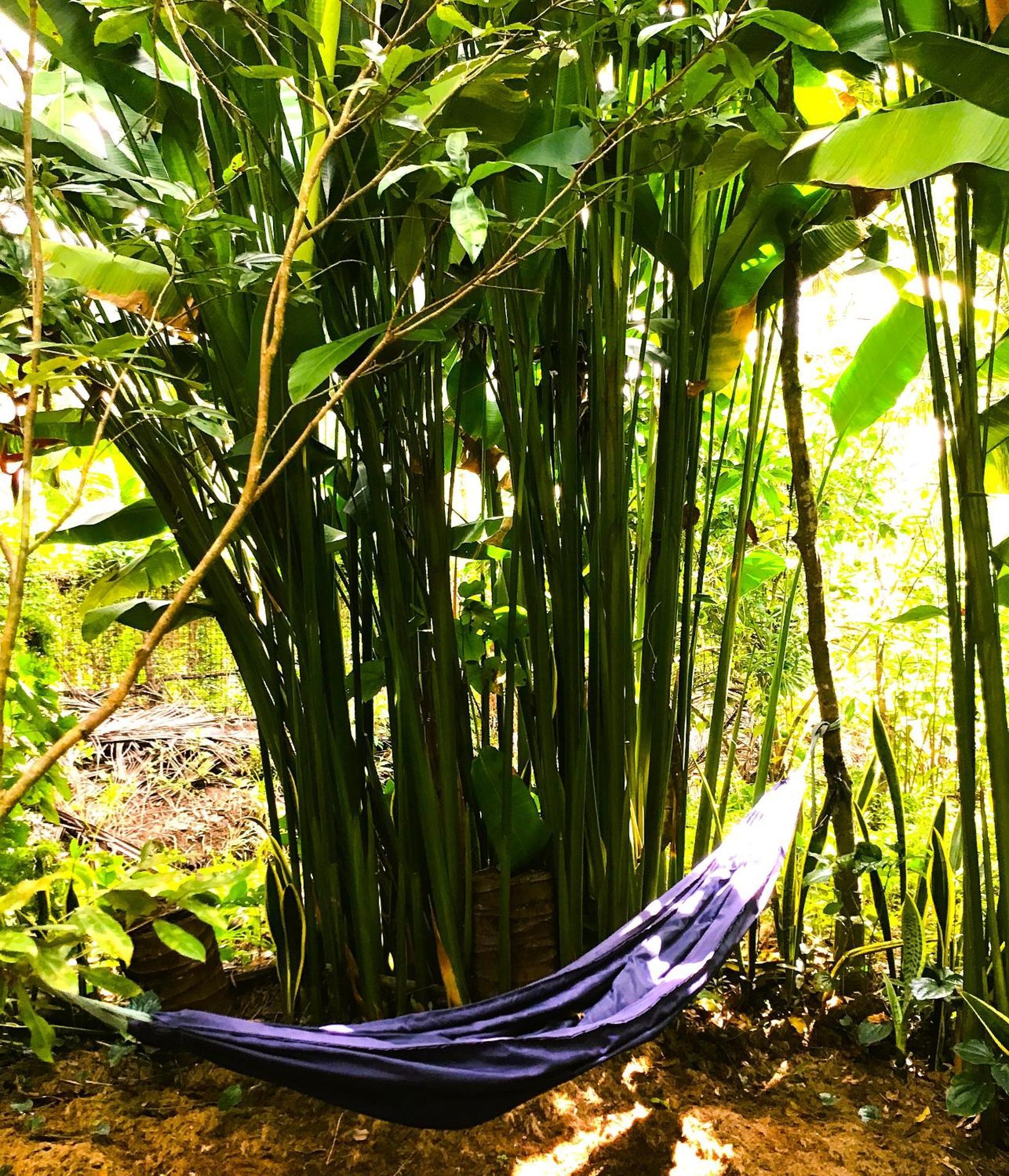 Ben Tre Farm Stay מראה חיצוני תמונה