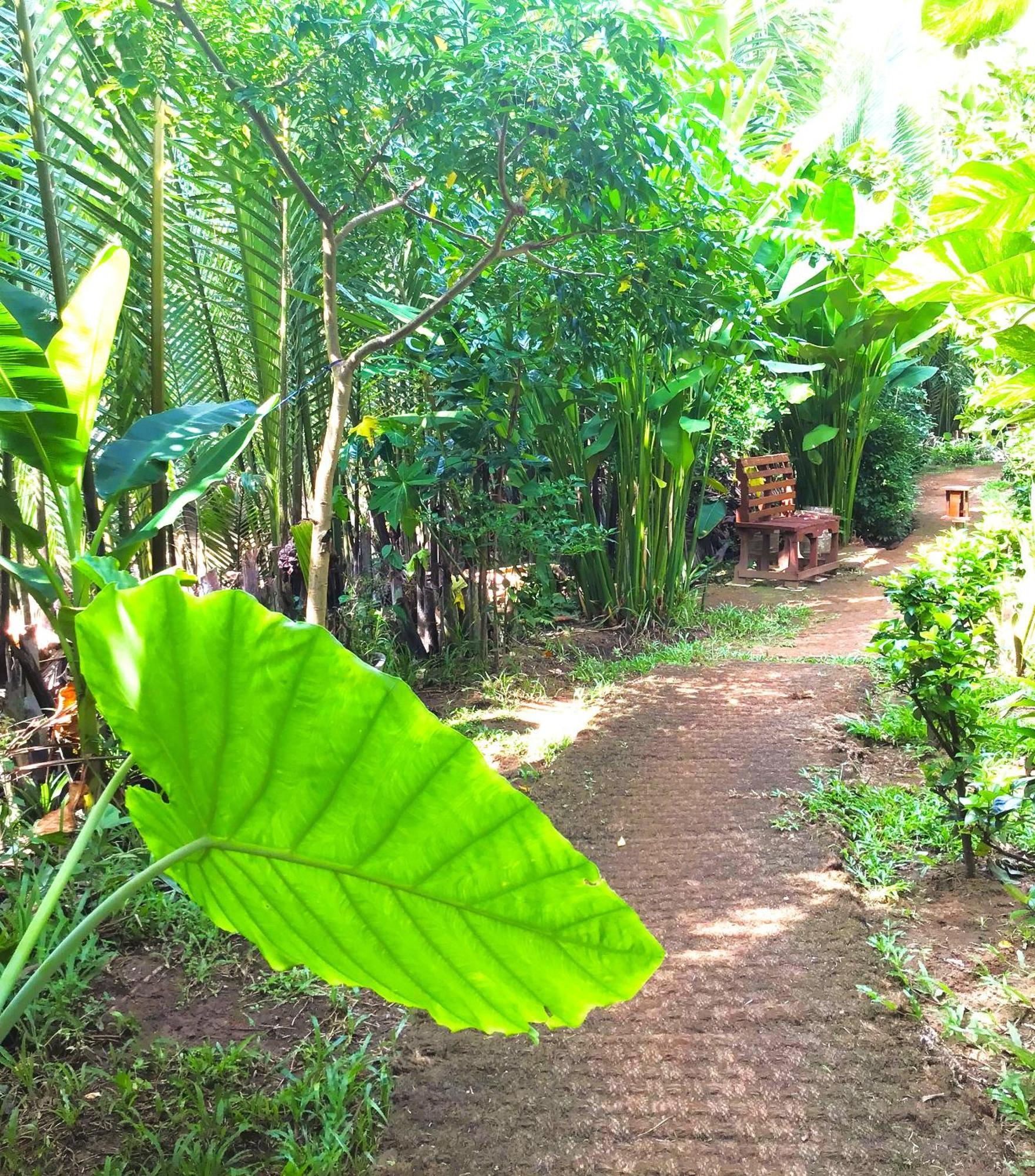 Ben Tre Farm Stay מראה חיצוני תמונה