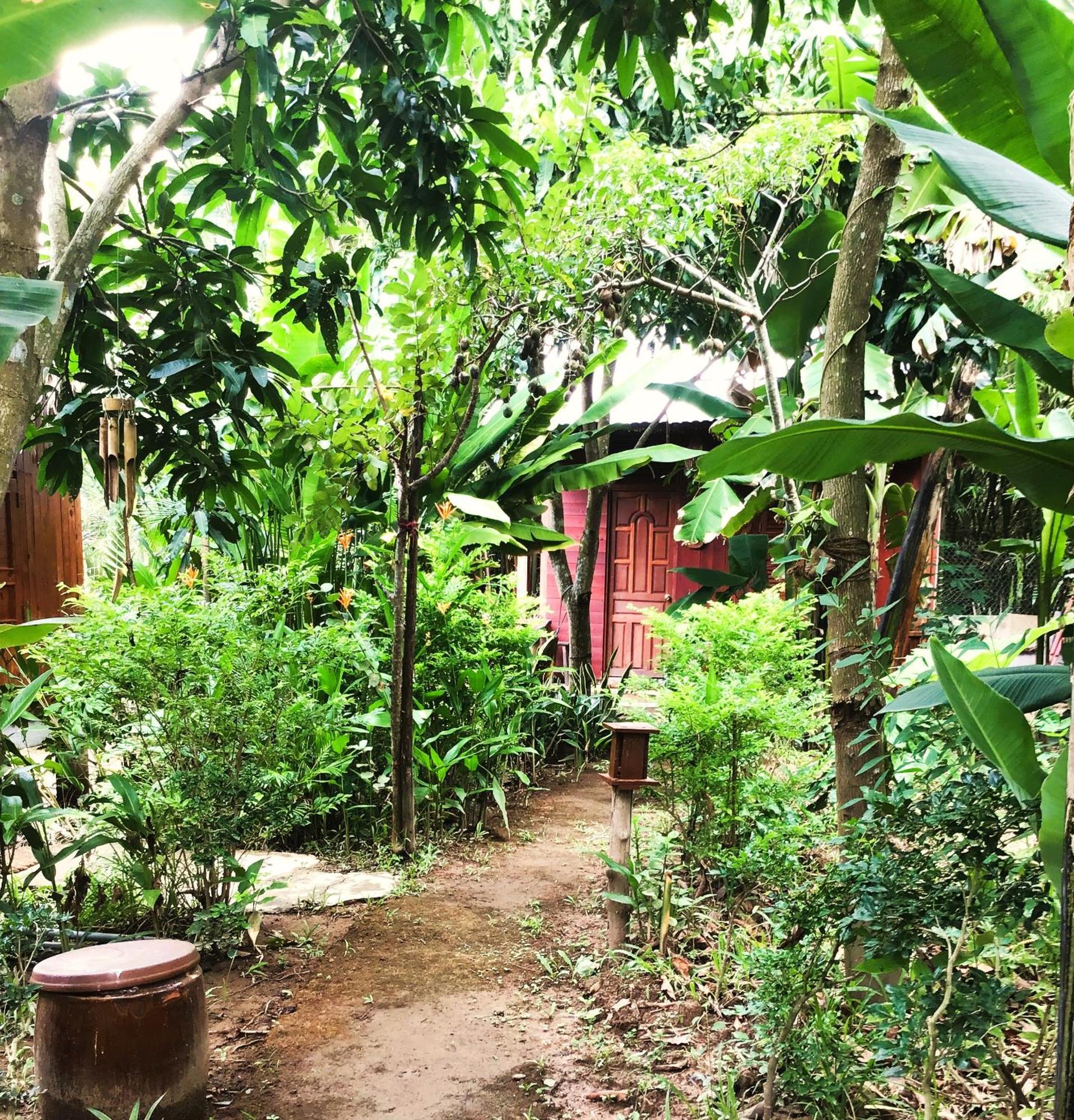 Ben Tre Farm Stay מראה חיצוני תמונה