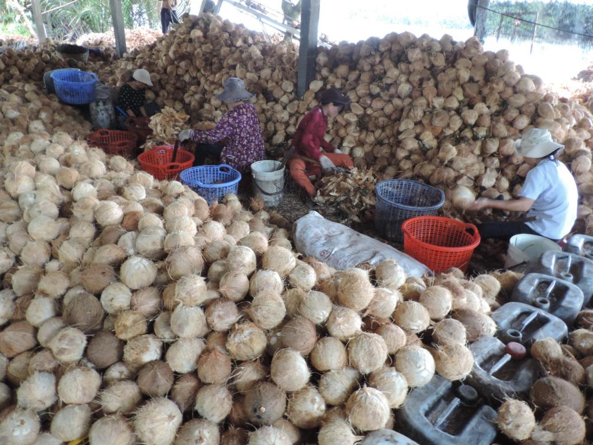 Ben Tre Farm Stay מראה חיצוני תמונה